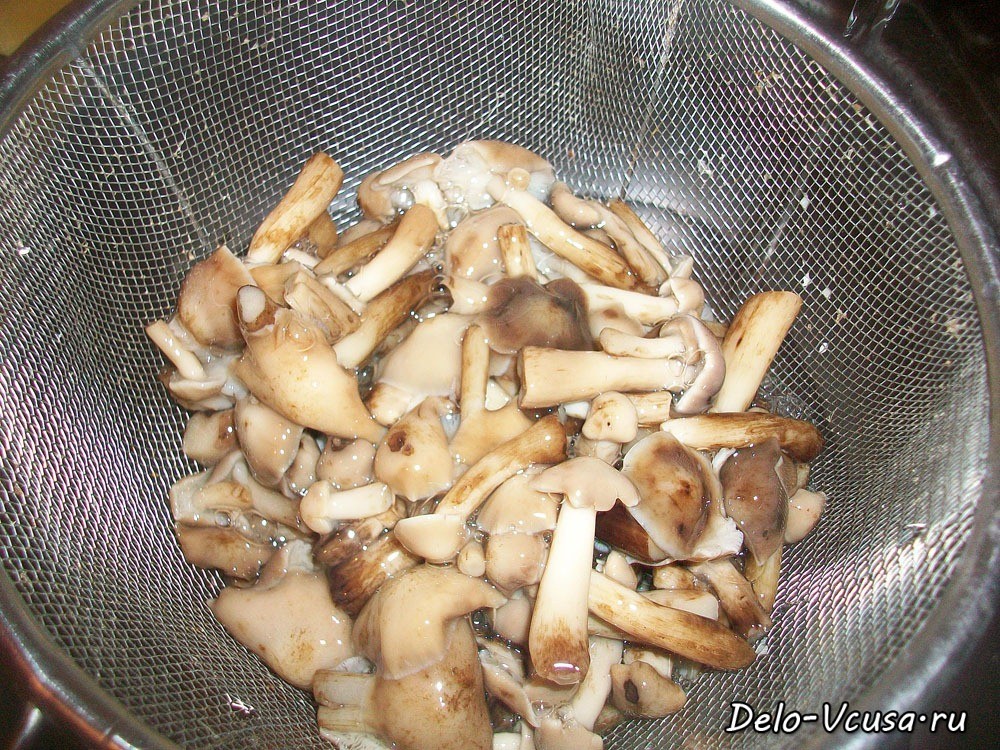 Шаг 2 приготовления Салат из маринованных опят с луком. Маринованные грибы с луком