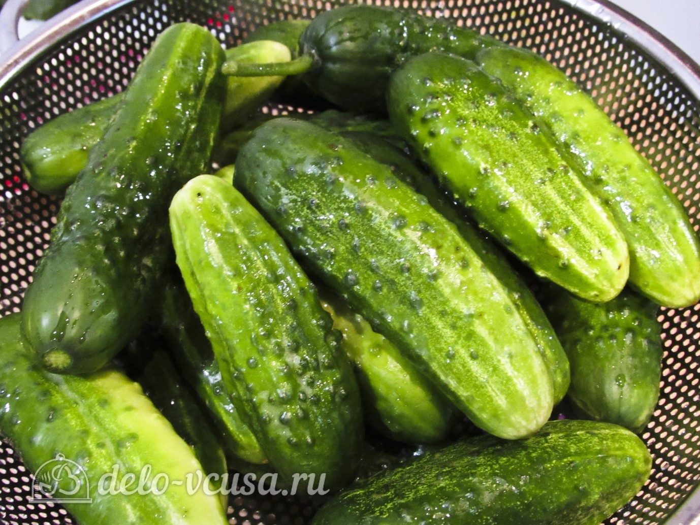 Шаг 2 приготовления Огурцы маринованные с красной смородиной