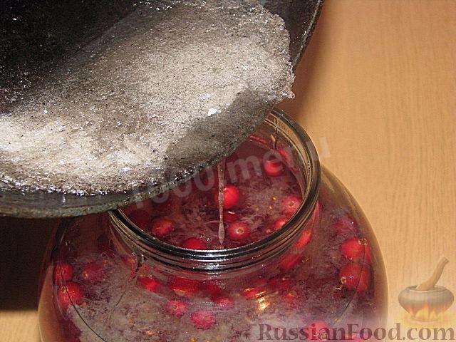 Шаг 2 приготовления Настойка на северной клюкве
