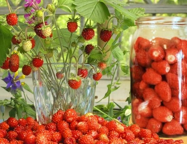 Обложка рецепта Компот из лесной земляники на зиму