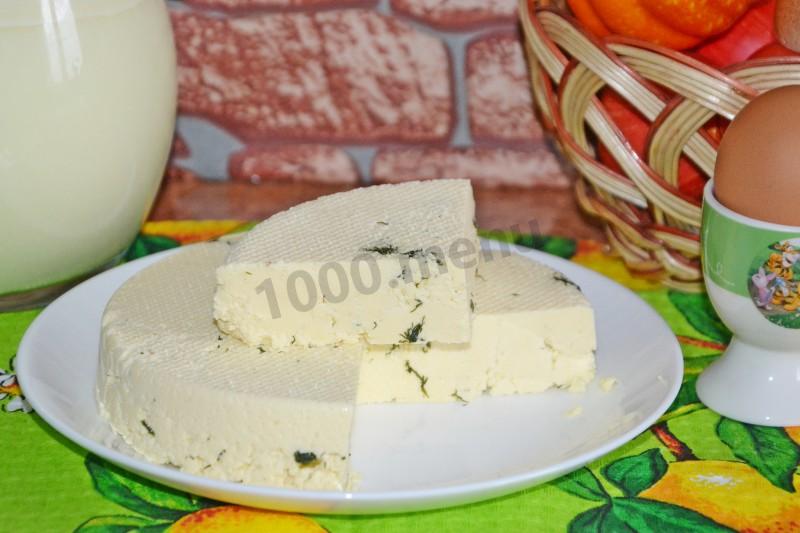 Шаг 12 приготовления Сыр с зеленью домашний
