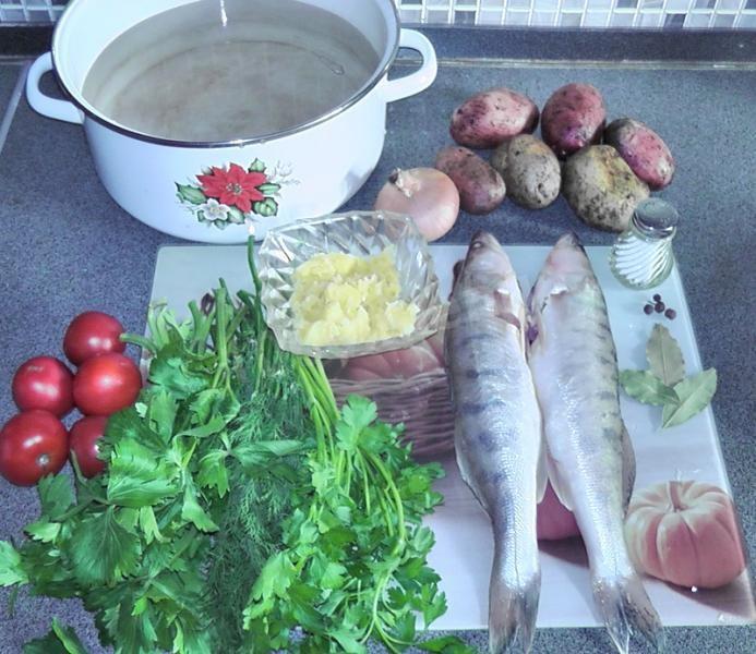 Шаг 1 приготовления Уха судачья по-ростовски