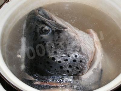 Шаг 2 приготовления Уха из лосося с картошкой, морковью, луком и зеленью