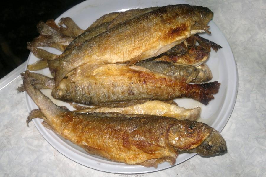 Обложка рецепта Хариус жареный