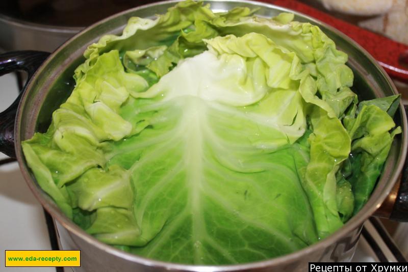 Шаг 2 приготовления Голубцы из молодой капусты с мясом в духовке классические