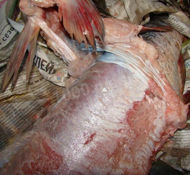 Шаг 4 приготовления Фаршированный толстолобик в духовке запеченный