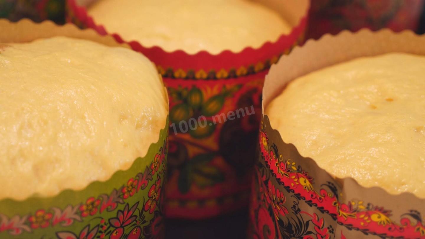 Шаг 17 приготовления Кулич на молоке с цукатами и грецкими орехами