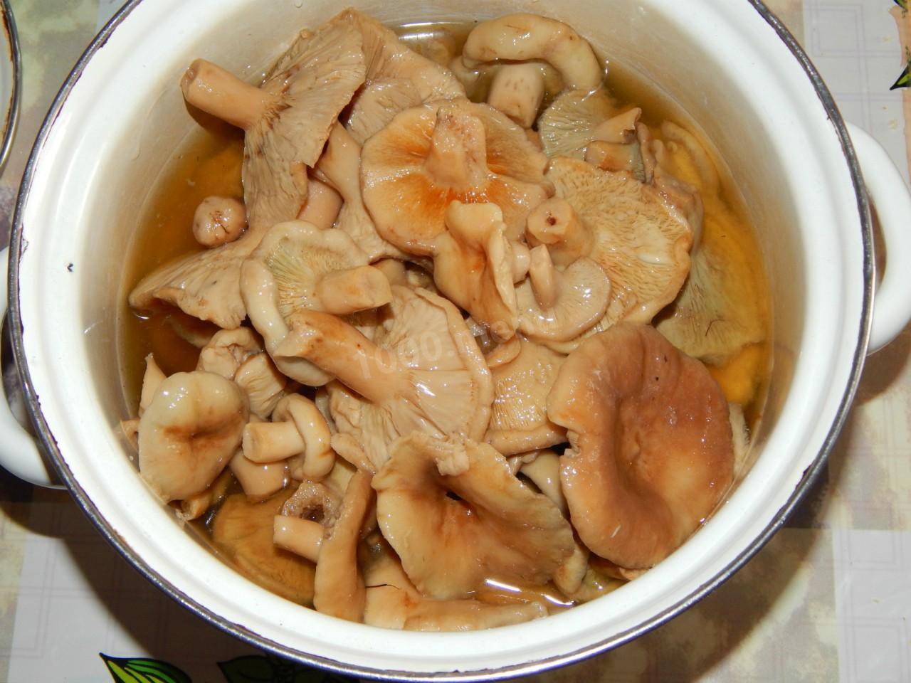Шаг 2 приготовления Фрикасе из курицы с грибами