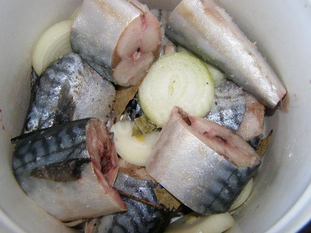 Шаг 6 приготовления Шашлык из скумбрии на минеральной воде
