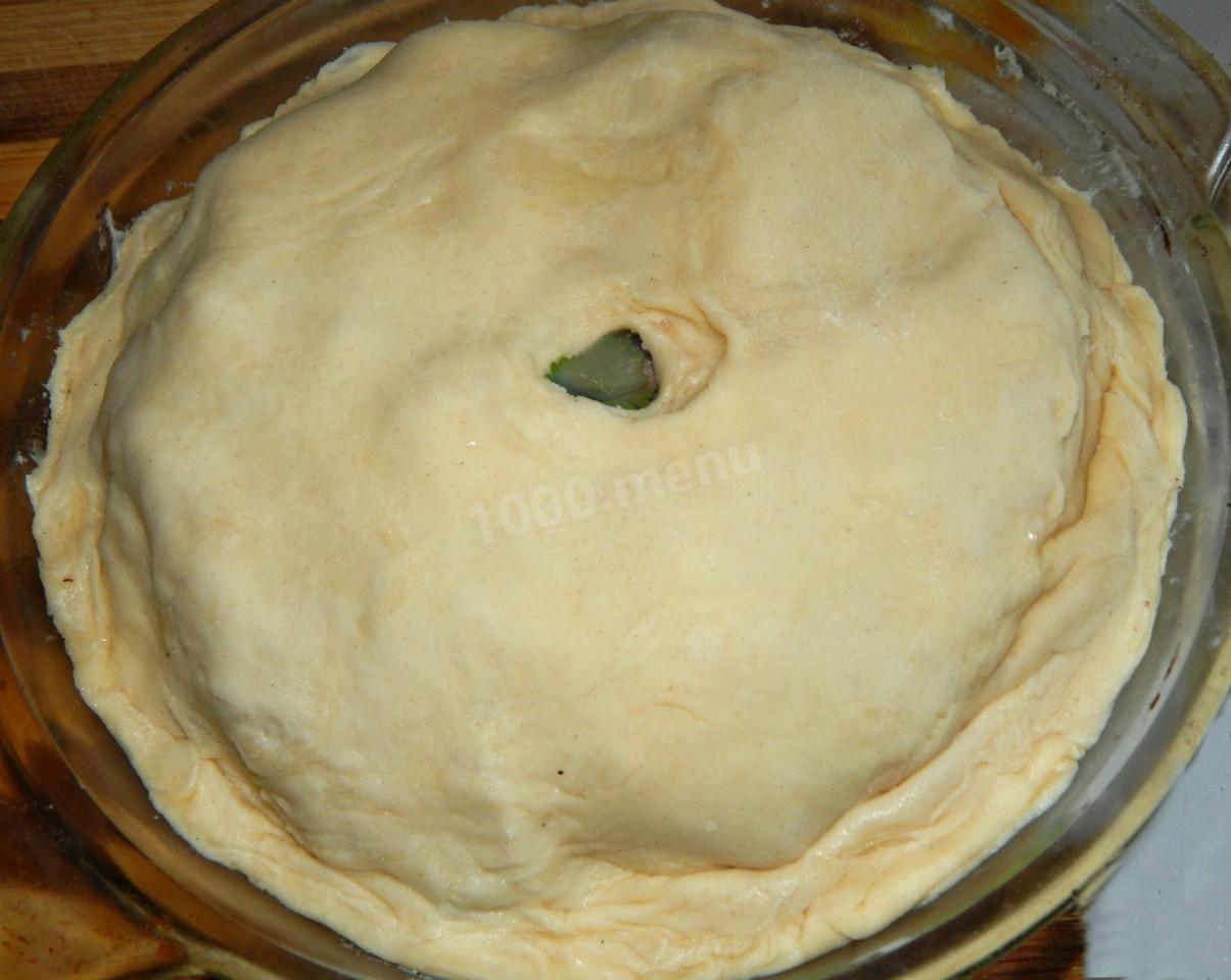 Шаг 10 приготовления Курник в духовке с курицей
