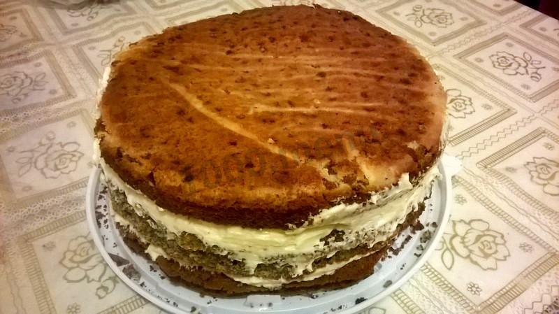 Шаг 9 приготовления Торт с маком орехами изюмом шоколадный бисквит