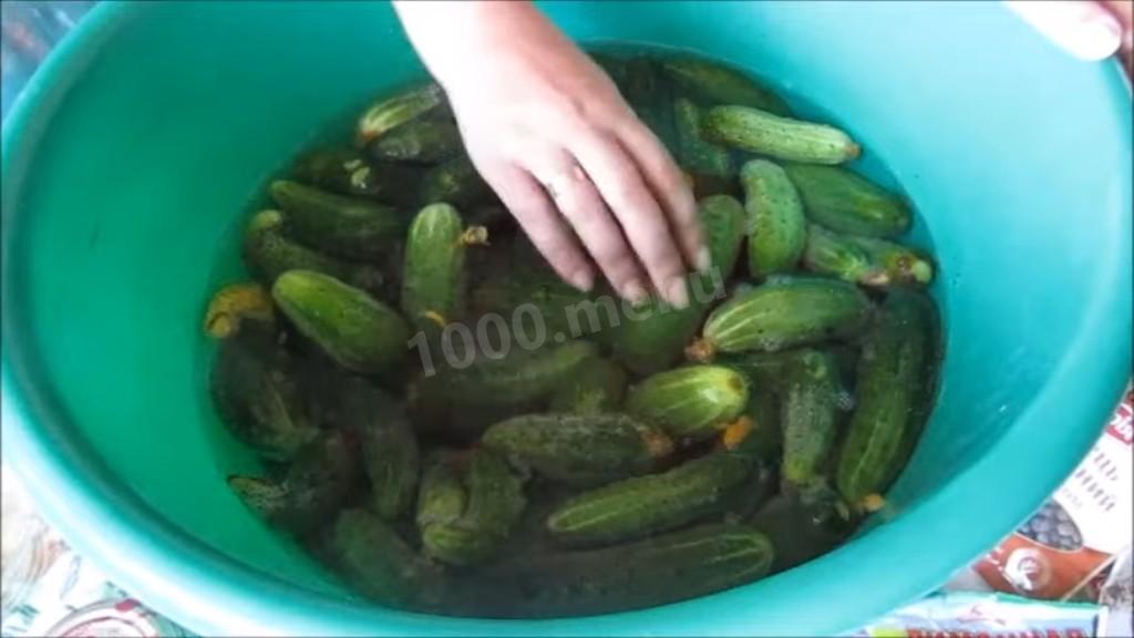 Шаг 1 приготовления Огурцы с травами и лимонной кислотой на зиму