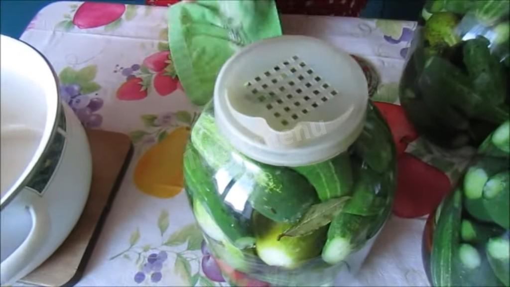 Шаг 4 приготовления Огурцы с травами и лимонной кислотой на зиму