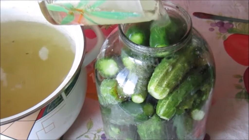 Шаг 5 приготовления Огурцы с травами и лимонной кислотой на зиму