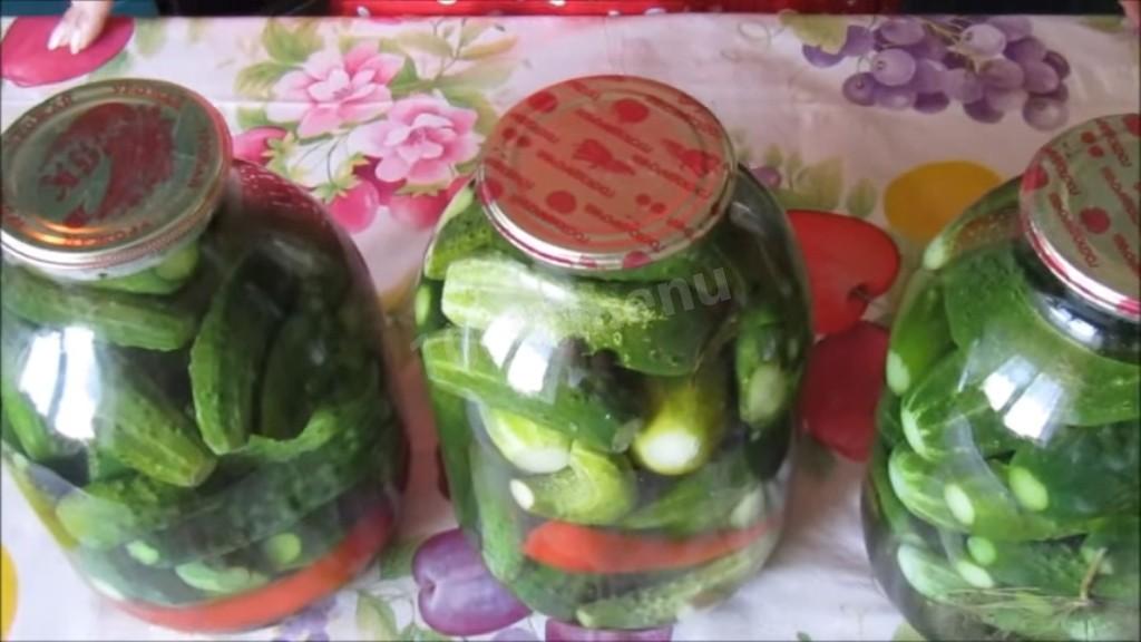 Шаг 6 приготовления Огурцы с травами и лимонной кислотой на зиму