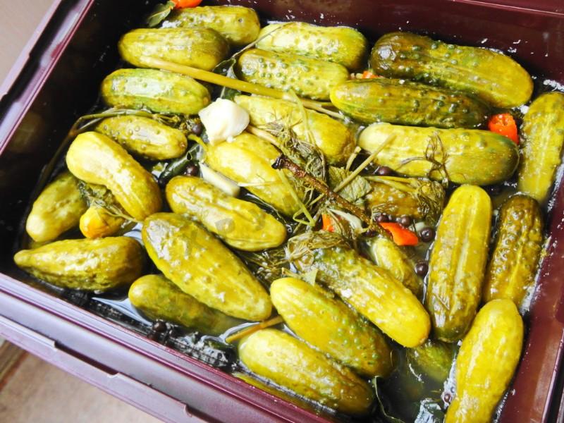Шаг 11 приготовления Засолка бочковых огурцов на зиму