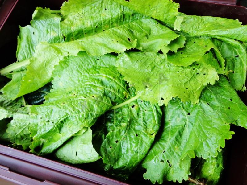 Шаг 7 приготовления Засолка бочковых огурцов на зиму