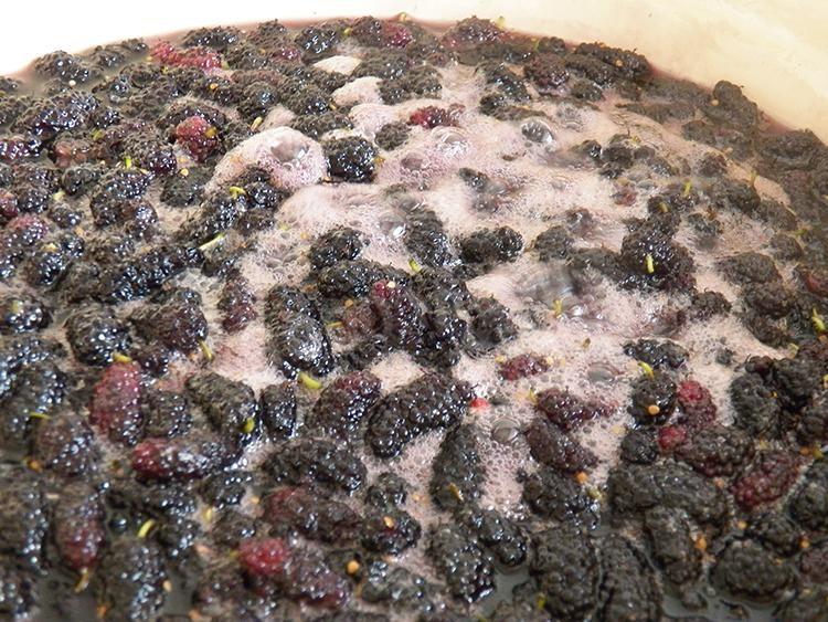 Шаг 10 приготовления Варенье из шелковицы тутовника с лимонной кислотой