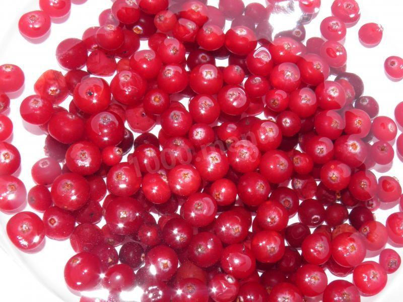 Шаг 3 приготовления Клюква протертая с сахаром