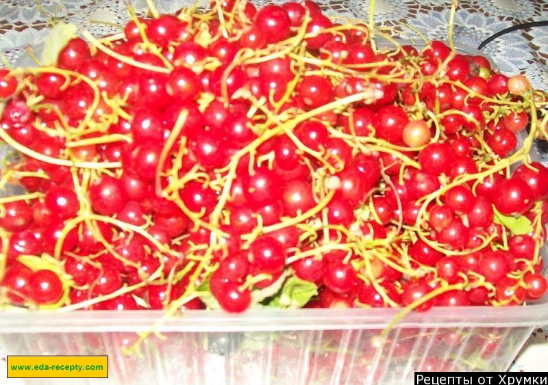 Шаг 1 приготовления Варенье из смородины красной на сиропе