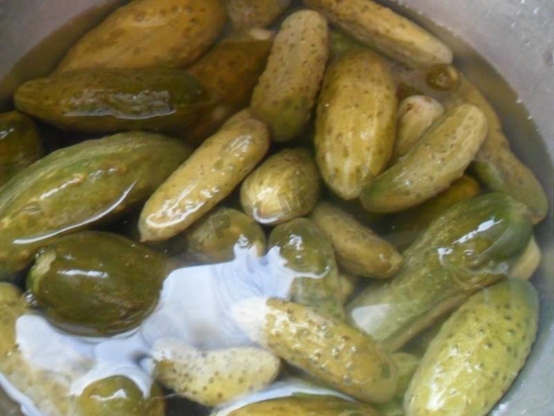 Шаг 6 приготовления Малосольные огурцы на зиму